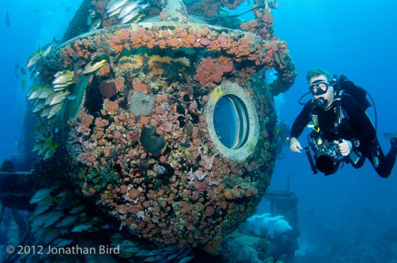  &copy; Jonathan Bird’s Blue World TV