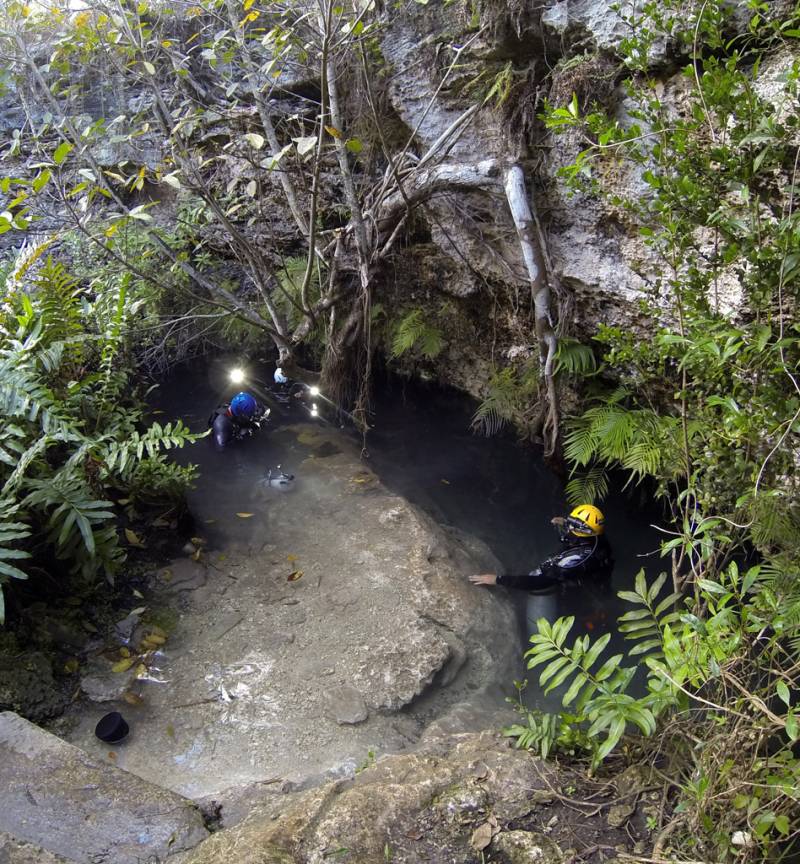  &copy; Jonathan Bird’s Blue World TV