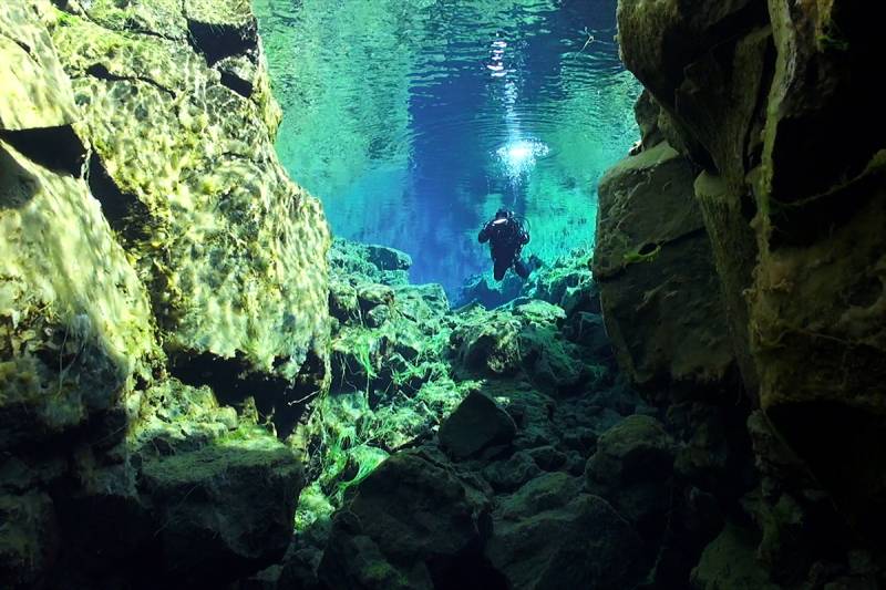  &copy; Jonathan Bird’s Blue World TV