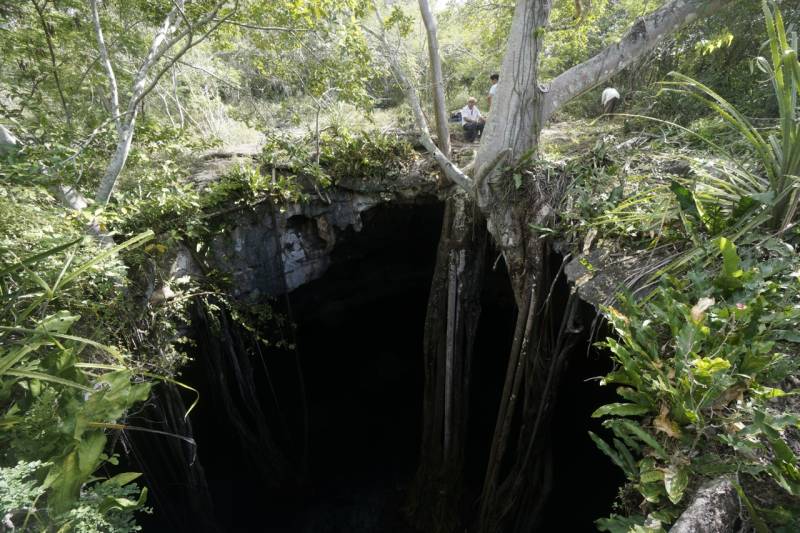  &copy; Jonathan Bird’s Blue World TV