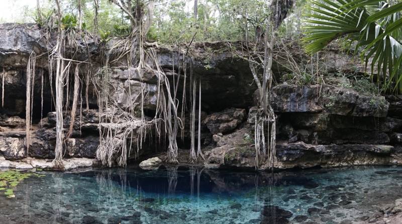  &copy; Jonathan Bird’s Blue World TV