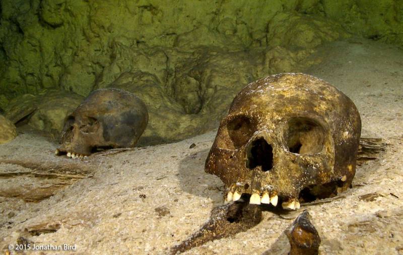  &copy; Jonathan Bird’s Blue World TV