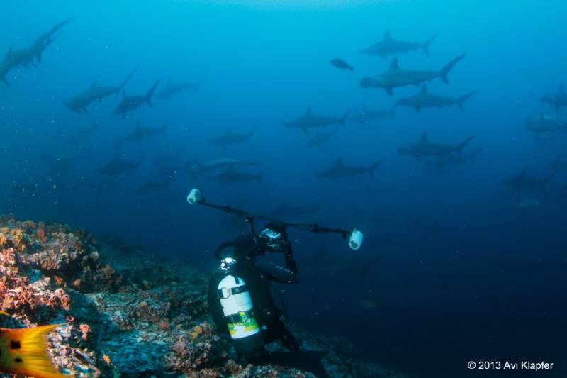  &copy; Jonathan Bird’s Blue World TV