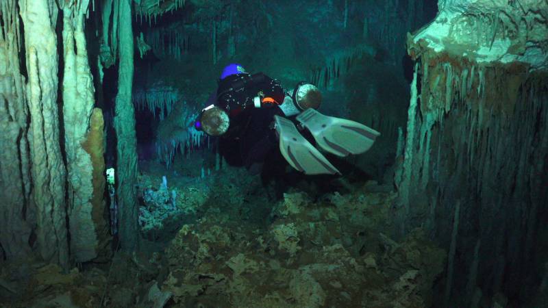  &copy; Jonathan Bird’s Blue World TV