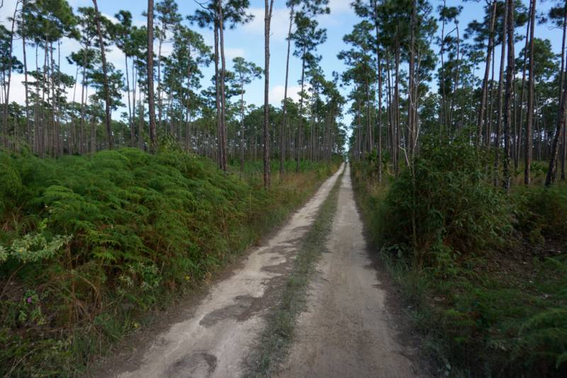  &copy; Jonathan Bird’s Blue World TV