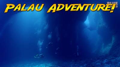 Palau-Adventure-640.jpg
