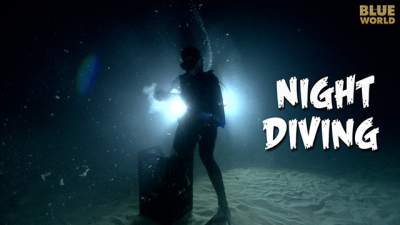 night-diving-640.jpg
