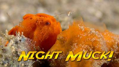 night-muck-640.jpg